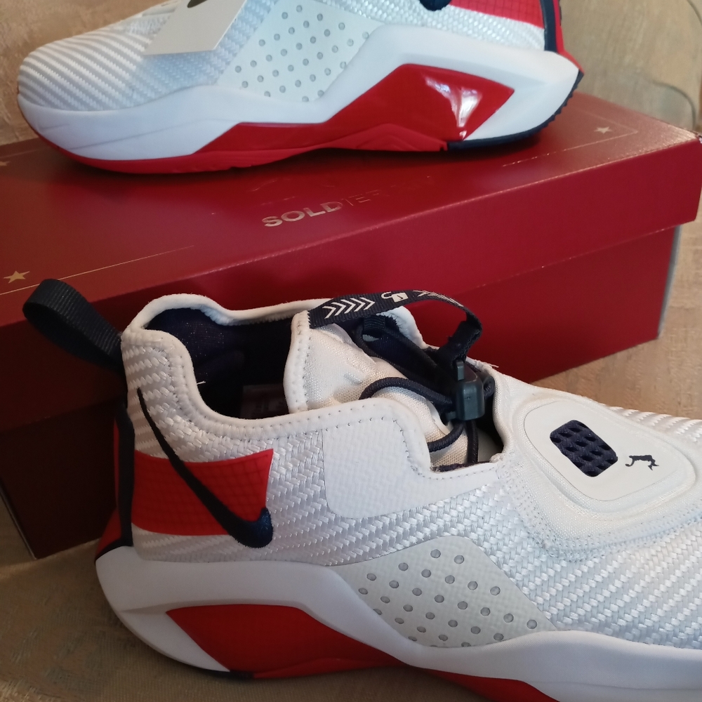 Hot New NIKE LEBRON SOLDIER 14 - Picture 2 of 6